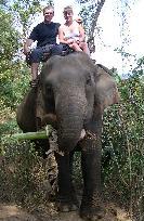 Photo of elephant